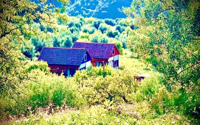 Apartamentos la Jayma del Arte