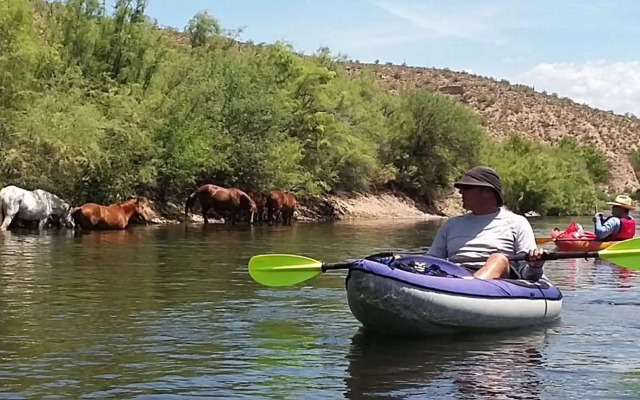 Best Western Apache Junction Inn