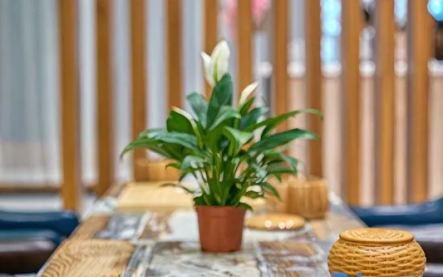 Pinyue International Apartment (Guangzhou Baiyun International Airport Branch)