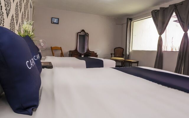 Singular Polanco Goldsmith