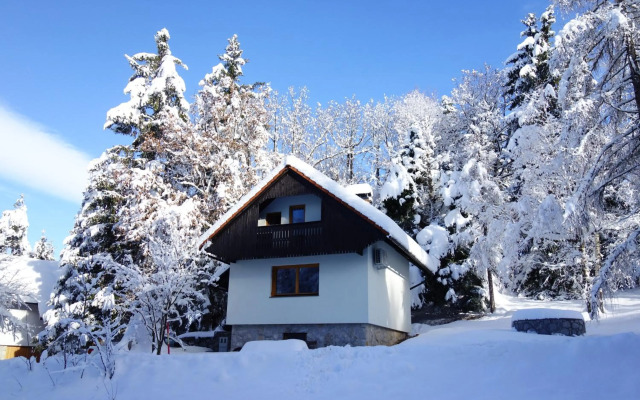 Sweet Stay Forest House