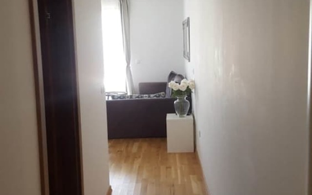 Stay In Budva 4