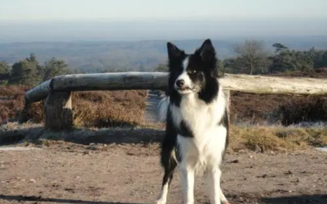 Holiday home Giethmen