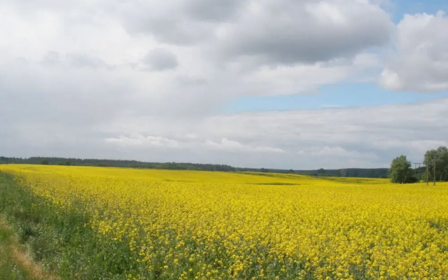 Pleasant Holiday Home Near Town Center