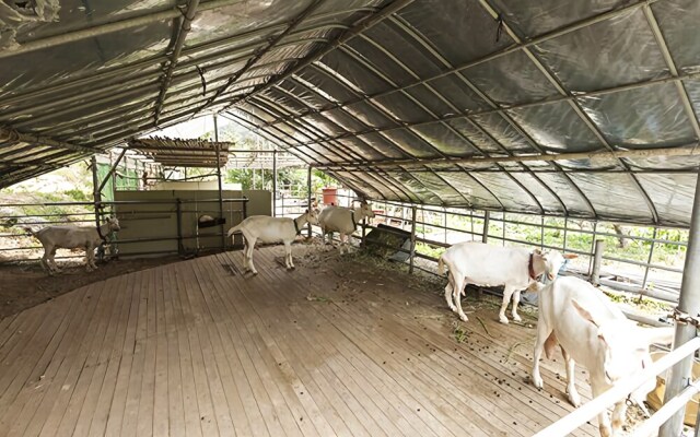 Gapyeong Daegajok Pension