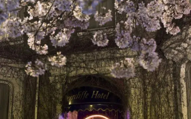 Overcliffe Hotel