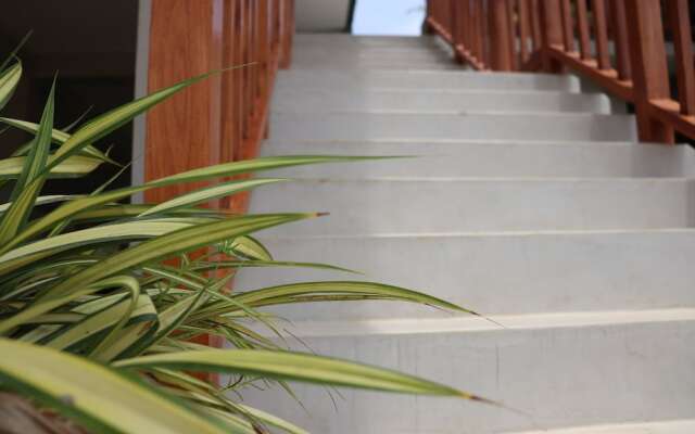 Kay Jay Wild Wilpattu