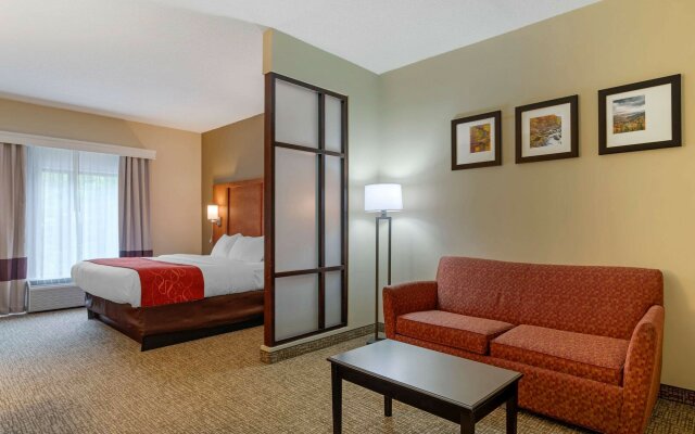 Comfort Suites Kingsport