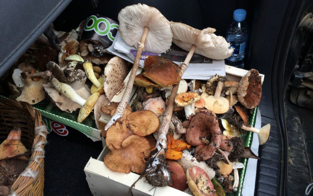 Hotel Mas 1670 - Adults Only