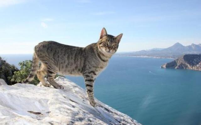 Apartamento Capri - Plusholidays