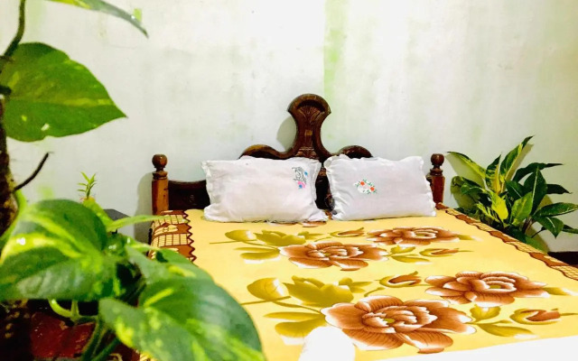 Mama Daisy's Homestay Rekawa.