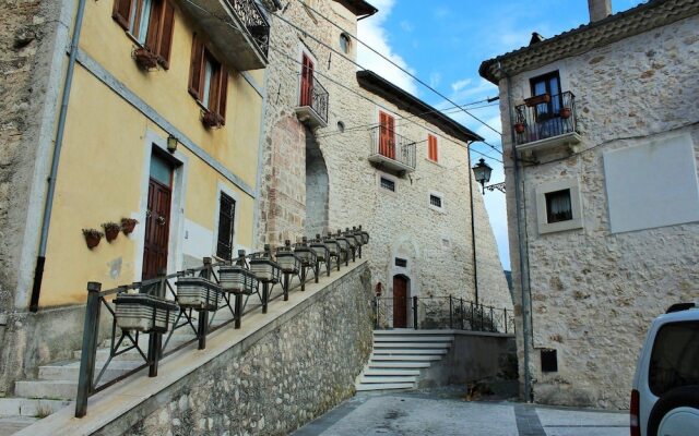 Volpe - Parco Nazionale d'Abruzzo