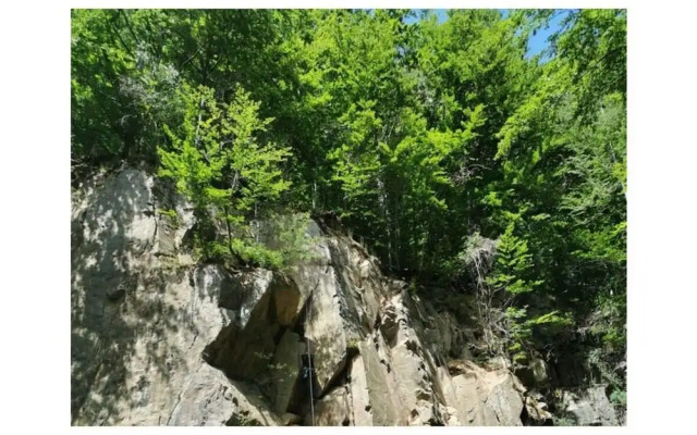 Panoramic View of Lake Harz