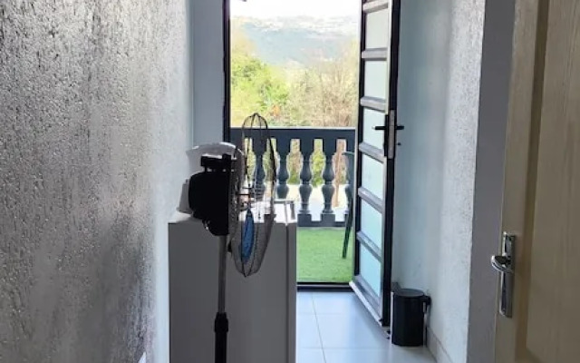 Casa Palmeira Guesthouse