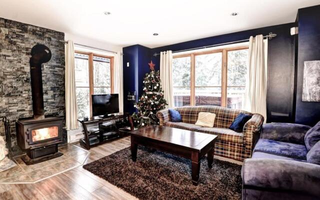 Chalets Alpins - 01 Chemin Alpin