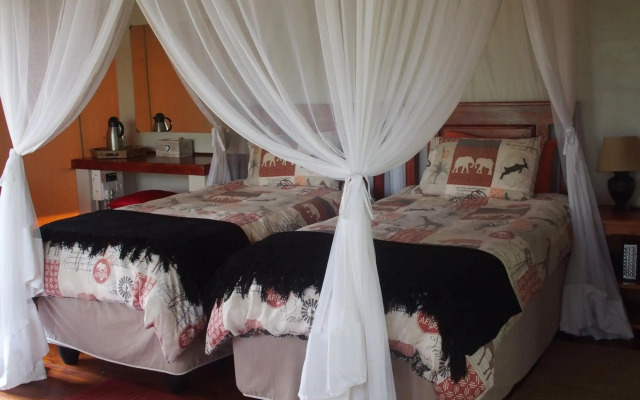 Lion Tree Top Lodge