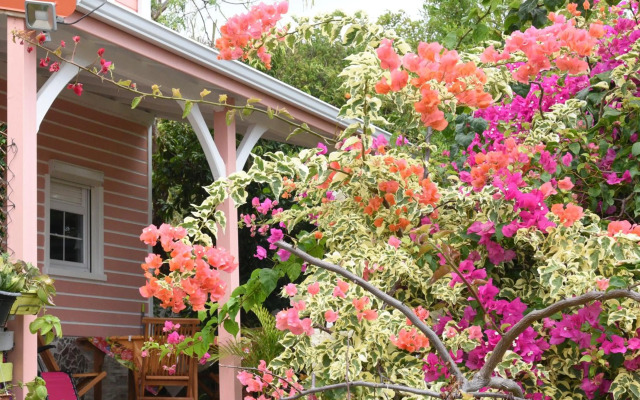 Maison Corosole vue Mer