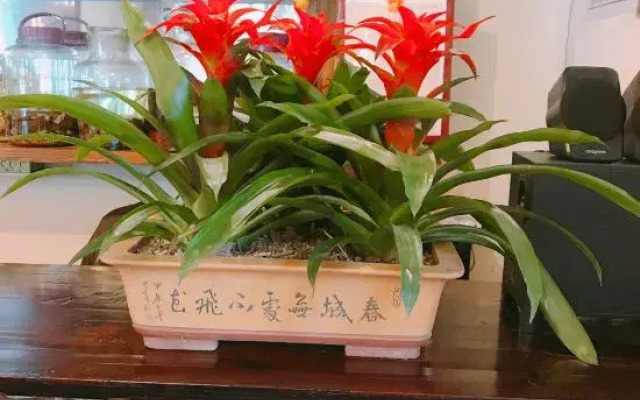Shuimu Jianxie Inn