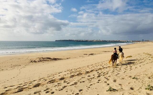 BIGboss Sharko - 400m from the beach