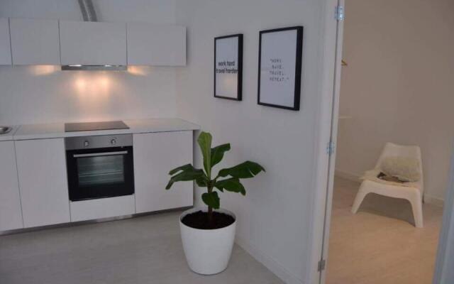 Charming Apartment 101