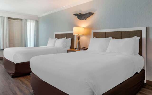 Winter the Dolphins Beach Club, Ascend Hotel Collection