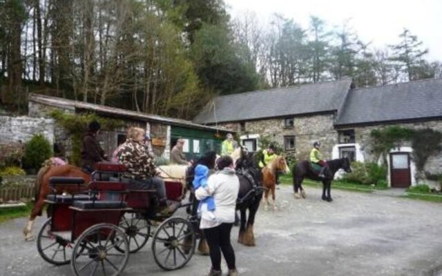The Mill House at Cwmiar Farm - Relaxing Holidays
