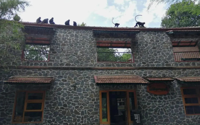 Wildernest