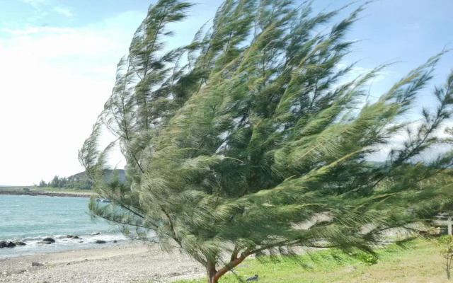 Heiohey Cozy Apartment