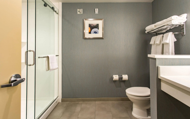 Holiday Inn Hotel & Suites Chattanooga Downtown by IHG