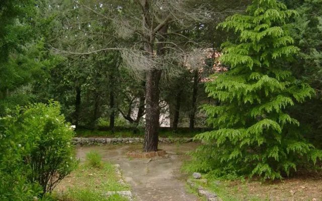Casa degli Ulivi