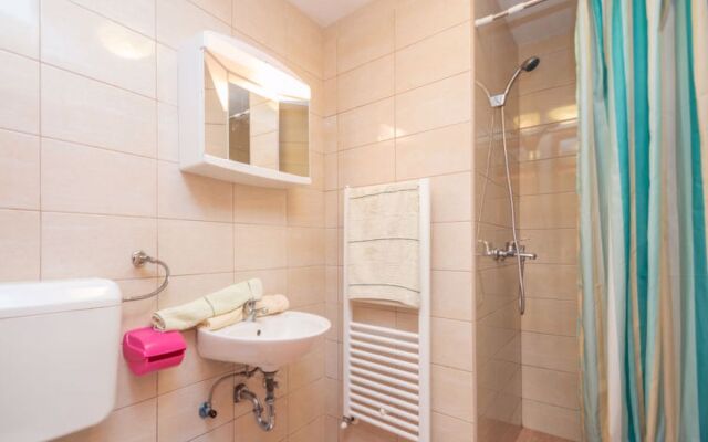 Vinka Laginji in Laginji