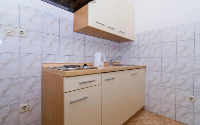 Apartments Slanada
