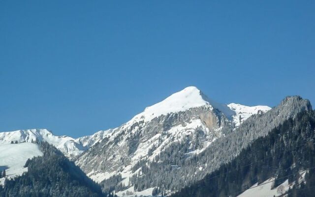 Detached Chalet With View of the Alps, Large Terrace and Veranda