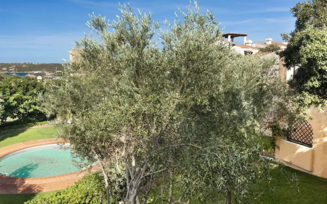 Stay in Porto Cervo With Garden Setting