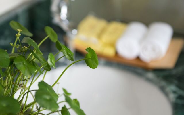 Splendid Boutique Hotel