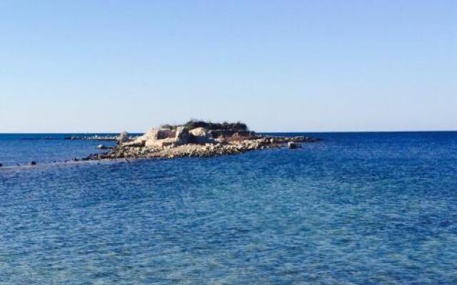 Apartment Umag Nelly