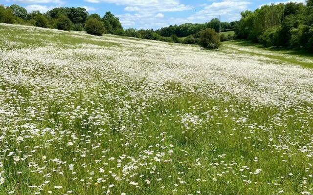Luxury Chilterns Hideaway, Easy Access to London