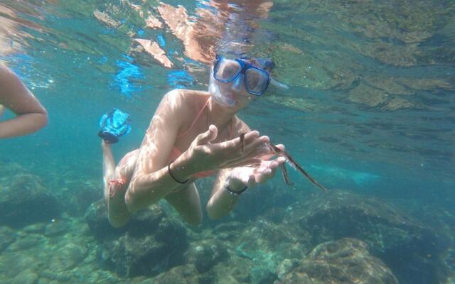 Angel Fish Cove