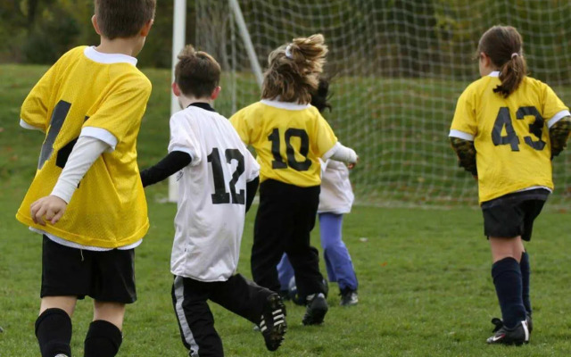 Hampton Inn Appleton-Fox River Mall Area