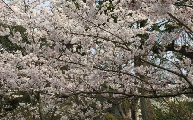 Ryokan Uemura