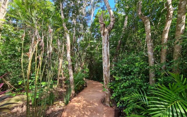 Secret Gardens Bacalar Suite 01 con alberca y bicicletas