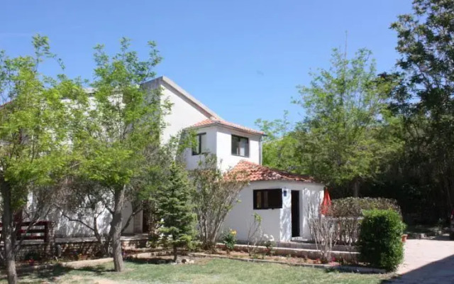 Apartments Meri
