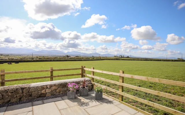 Mynydd Mwyn