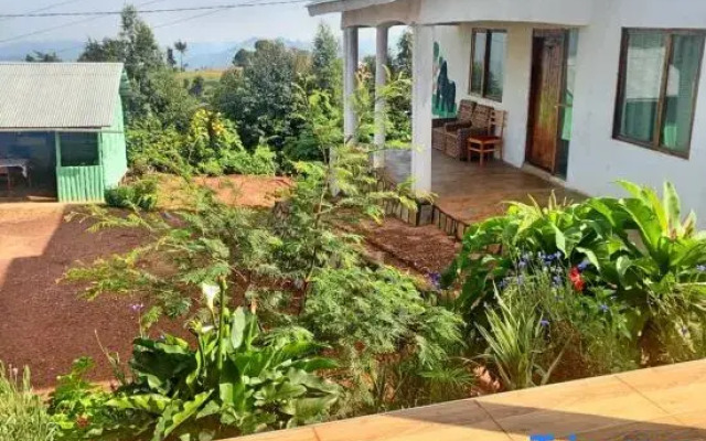 Ruhija Gorilla Guest house