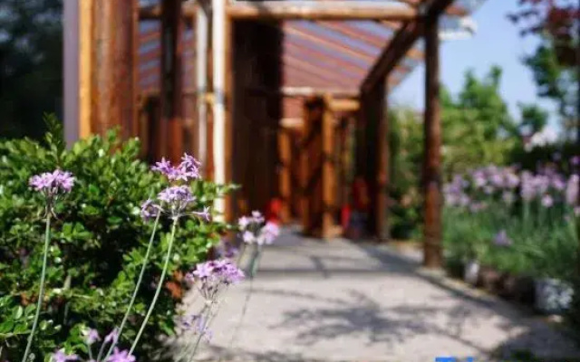 Shanghai Country House Shihu Theme Homestay