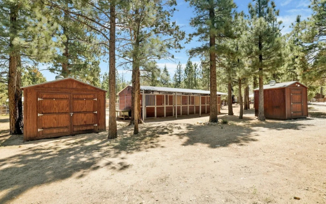 ONE Hundred Pines Ranch #2005