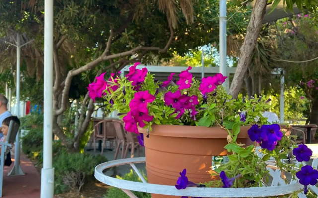 Theodorou Beach Hotel Apartments