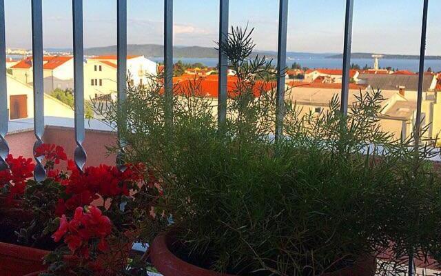 Guest House Mamut