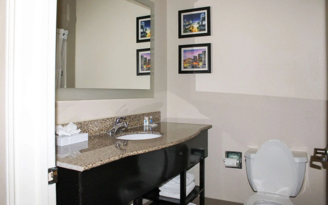 Comfort Inn & Suites Fultondale Gardendale I-65
