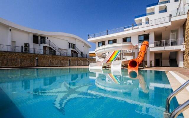 Elite Admiral Premium A21